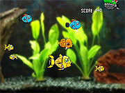 Play Flash Game: "Robotic Fishy" Free